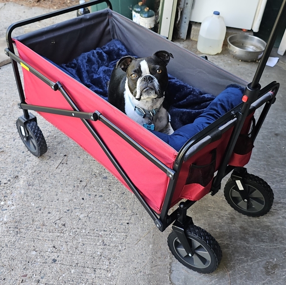 Meet your Posher, Tiff - Picture 1 of 16